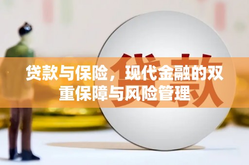 皇姑贷款与保险，现代金融的双重保障与风险管理