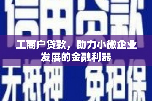 合浦工商户贷款，助力小微企业发展的金融利器