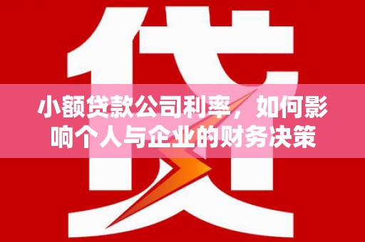 南涧小额贷款公司利率，如何影响个人与企业的财务决策