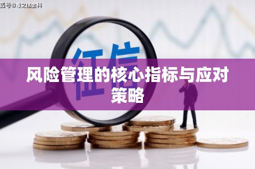 鹰潭风险管理的核心指标与应对策略