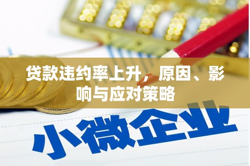 阳山贷款违约率上升，原因、影响与应对策略