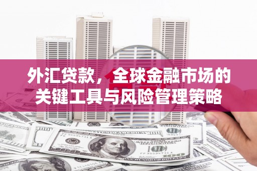 滑县外汇贷款，全球金融市场的关键工具与风险管理策略
