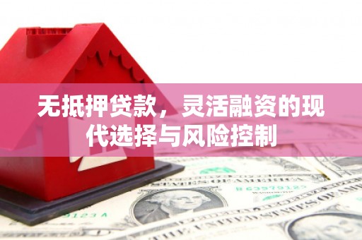 南市无抵押贷款，灵活融资的现代选择与风险控制
