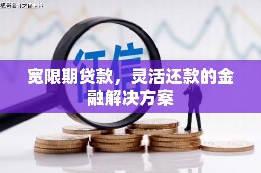 荥经宽限期贷款，灵活还款的金融解决方案