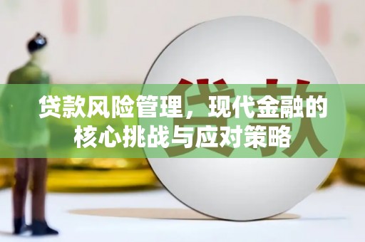 崇明贷款风险管理，现代金融的核心挑战与应对策略