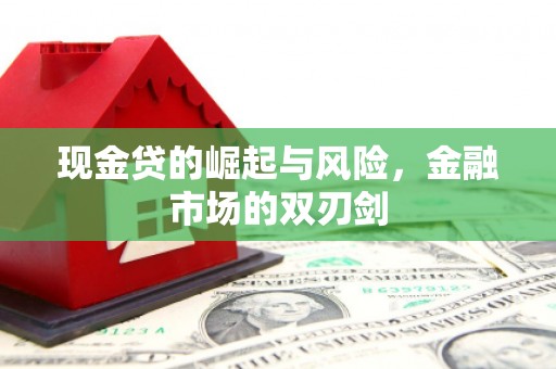 雨山现金贷的崛起与风险，金融市场的双刃剑