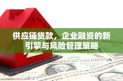 日土供应链贷款，企业融资的新引擎与风险管理策略