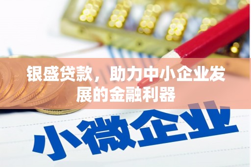 朴子银盛贷款，助力中小企业发展的金融利器