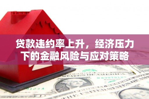 榆树贷款违约率上升，经济压力下的金融风险与应对策略