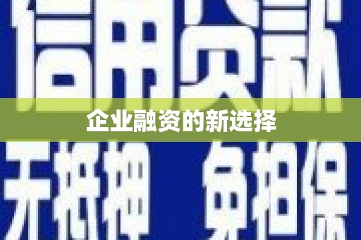 马公企业融资的新选择
