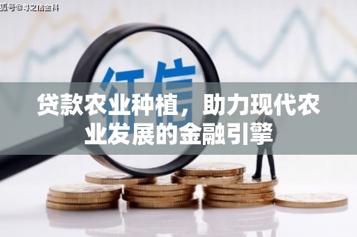 昆明贷款农业种植，助力现代农业发展的金融引擎