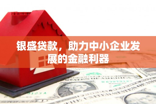 荥经银盛贷款，助力中小企业发展的金融利器