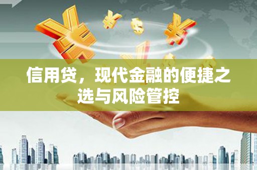 新屋信用贷，现代金融的便捷之选与风险管控