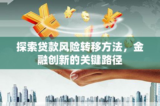 武陵探索贷款风险转移方法，金融创新的关键路径