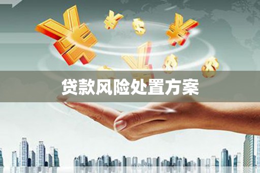 肥乡贷款风险处置方案