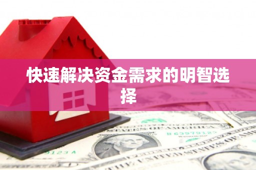海伦快速解决资金需求的明智选择