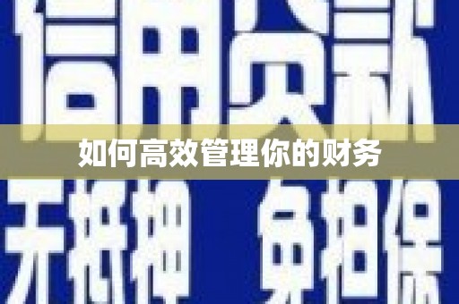 颍上如何高效管理你的财务