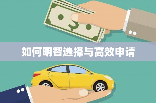 延津如何明智选择与高效申请
