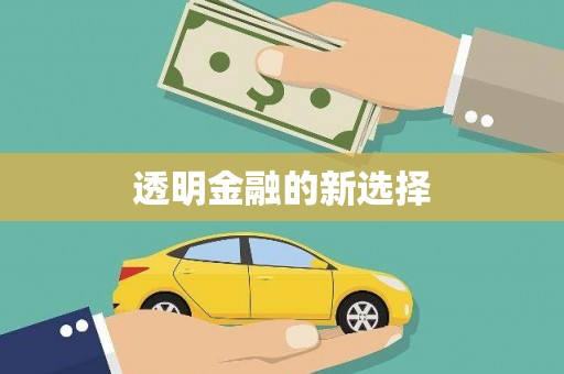 米东透明金融的新选择