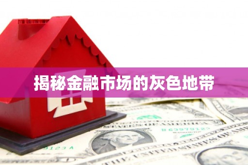 吴堡揭秘金融市场的灰色地带