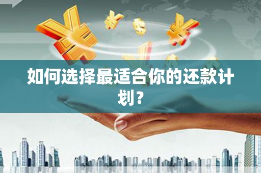 康县如何选择最适合你的还款计划？