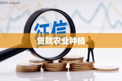 关山贷款农业种植