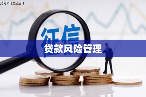 贵溪贷款风险管理