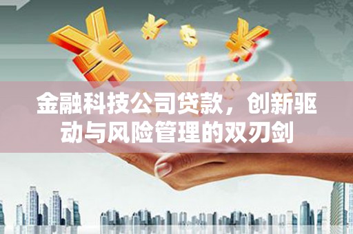 定陶金融科技公司贷款，创新驱动与风险管理的双刃剑